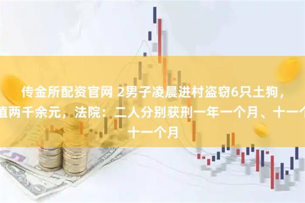 传金所配资官网 2男子凌晨进村盗窃6只土狗，价值两千余元，法院：二人分别获刑一年一个月、十一个月